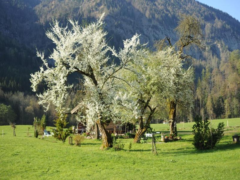 Hansenbauernhof Inkl. Chiemgaukarte Ruhpolding Extérieur photo